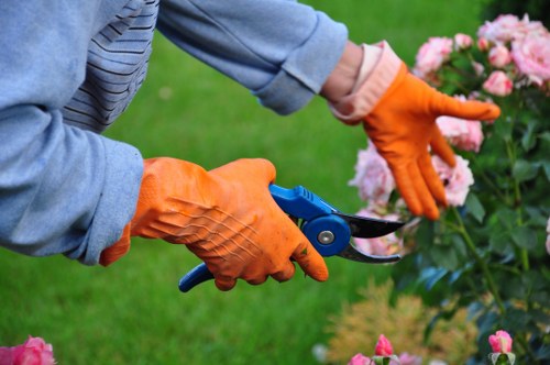 Tree surgery complaint being acknowledged and documented