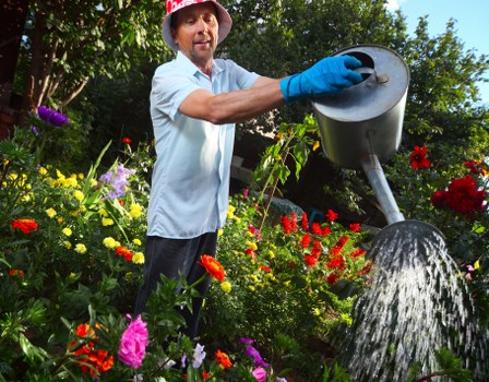 Professional tree pruning in a Kensington residential garden