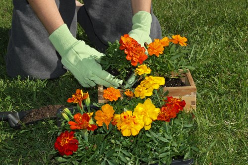 Recycling and sustainability efforts by Tree Surgeons Kensington