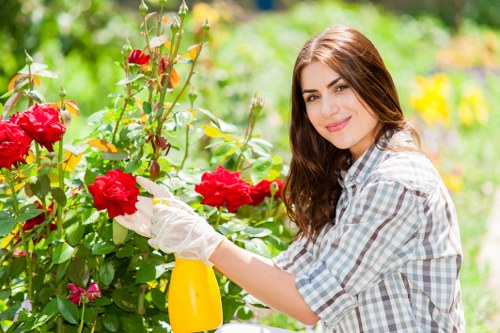 Local hedge maintenance for a Kensington townhouse garden