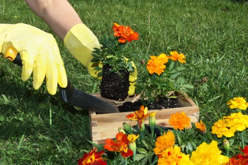 Professional reviewing tree work records for a complaint