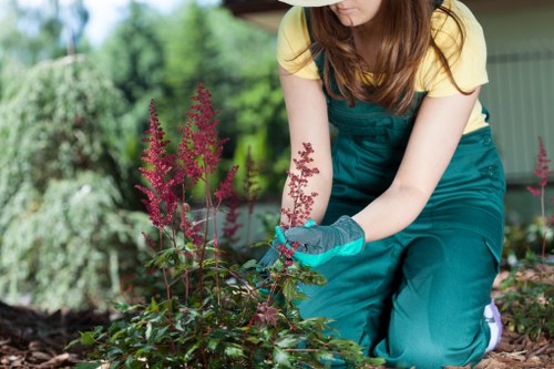 Arborist assessing tree health in a residential setting