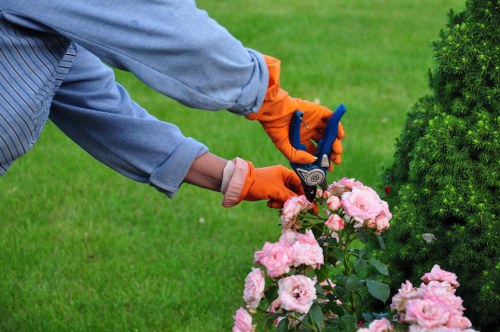 Arborist reviewing a service booking and quotation